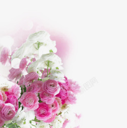 漂亮的粉色花朵素材
