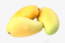 热带水果芒果素材