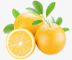 柳橙橘子高清图片