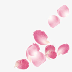 飘落的粉红色玫瑰花叶子素材