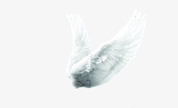 矢量天使之翼一对展翅飞翔的天使之翼高清图片