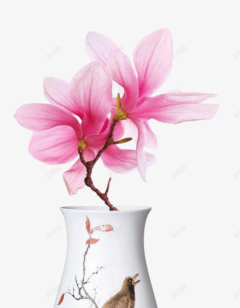 春季花瓶中的花盛开的花psd免抠素材_新图网 https://ixintu.com 产品实物 春季 春暖花开 盛开的花 粉色的花 花瓶中的花