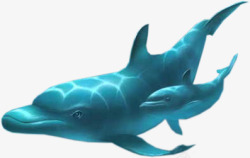 海豚蓝鲸素材
