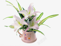 粉色百合文艺春季花朵素材