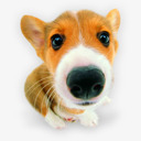 小狗10图标png_新图网 https://ixintu.com animal dog hound pet puppies puppy 动物 宠物 小狗 狗 猎犬