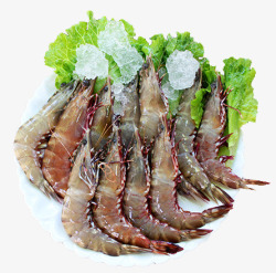 红脚虾素材