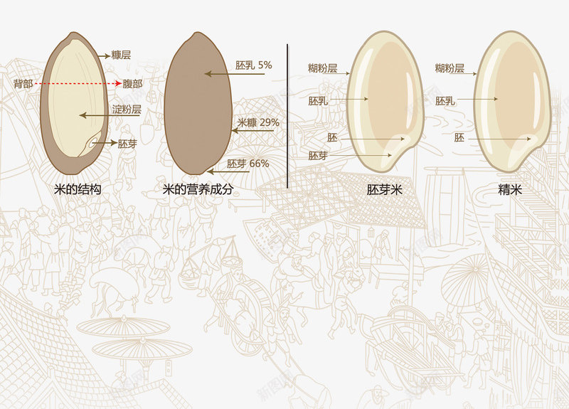 大米颗粒png免抠素材_新图网 https://ixintu.com 一粒米 大米 稻穗 米粒