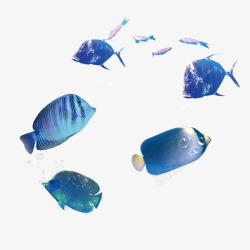 蓝色海洋鱼海洋里面的鱼高清图片