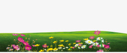 草坪免费下载效果元素花卉元素花草绿色高清图片
