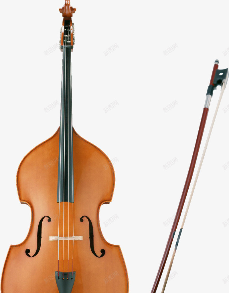 大提琴png免抠素材_新图网 https://ixintu.com 大提琴 弦乐 音乐