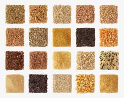 秋麦粮食组成的方块高清图片
