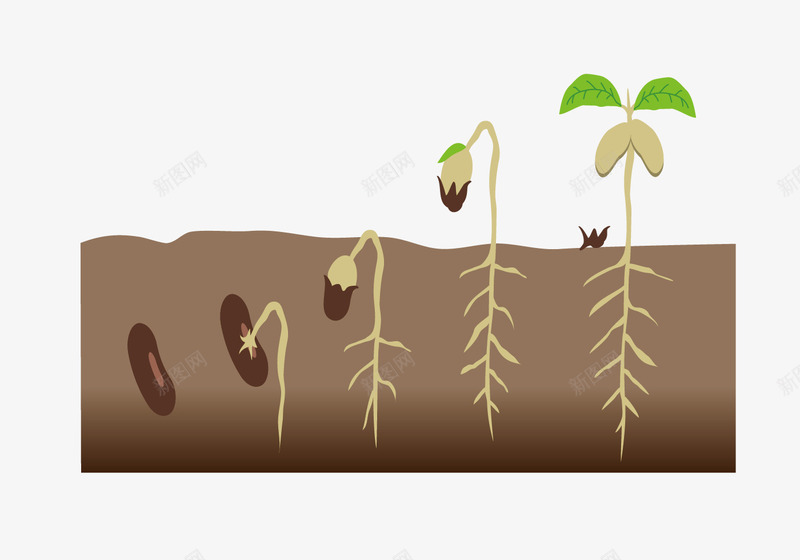 种子生长路径图png免抠素材_新图网 https://ixintu.com 植被 生命周期 生态 生态圈 种子生长 绿色