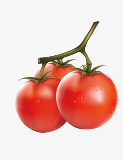 鲜红柿子素材