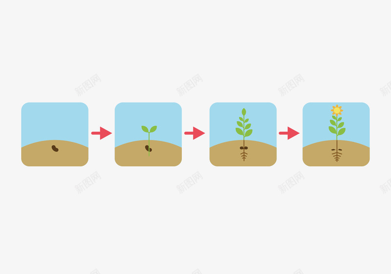 植被生长过程png免抠素材_新图网 https://ixintu.com 植被 生命周期 生态 生态圈 绿色