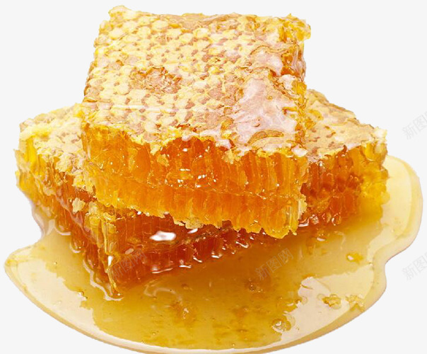 蜜蜂蜂胶png免抠素材_新图网 https://ixintu.com 粘稠 蜂类 蜂胶 蜂蜜 蜜蜂 黄色