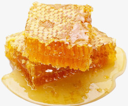 黄色蜂胶蜜蜂蜂胶高清图片