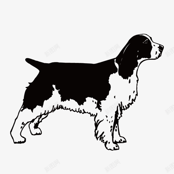 黑白色长毛小狗简图图标png_新图网 https://ixintu.com 动物 可爱的 填色练习 小狗 手绘图 毛发 水墨 黑白色
