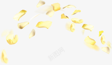 弧形排布金黄色树叶元素png免抠素材_新图网 https://ixintu.com 元素 弧形 树叶 金黄色