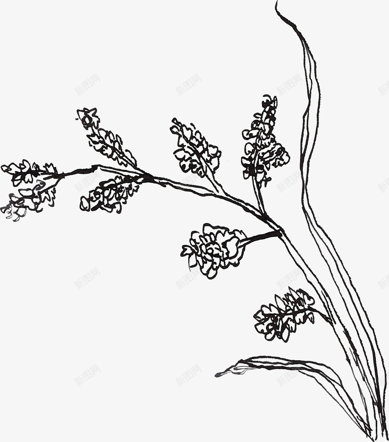线描花草png免抠素材_新图网 https://ixintu.com 线描植物 线条 花卉 黑色