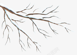 积雪枯树矢量图冬天的枯树枝高清图片