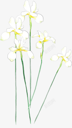 黄白色手绘春季花朵素材