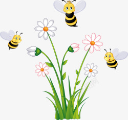 蜜蜂花草蜜蜂高清图片