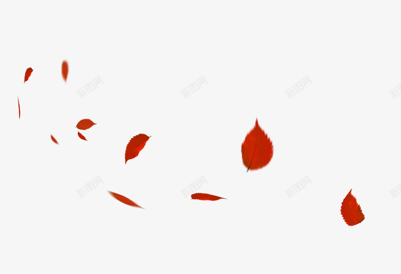 红色简约树叶漂浮png免抠素材_新图网 https://ixintu.com 免抠PNG 树叶 漂浮素材 简约 红色