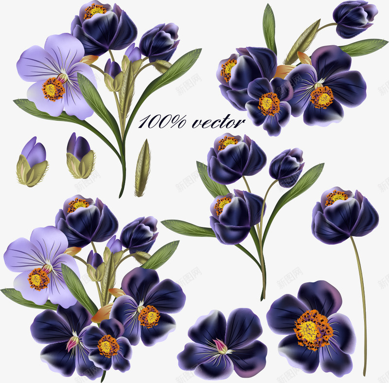 紫色花朵png免抠素材_新图网 https://ixintu.com 植物 紫色花 紫色花朵 绿植 花 花儿 花卉 花朵 花瓣 花草树木