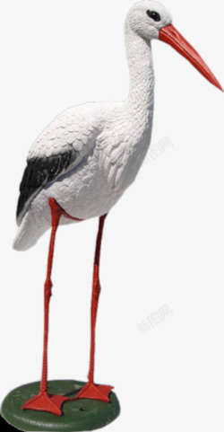 白色水鸟白色渔猎鸟高清图片
