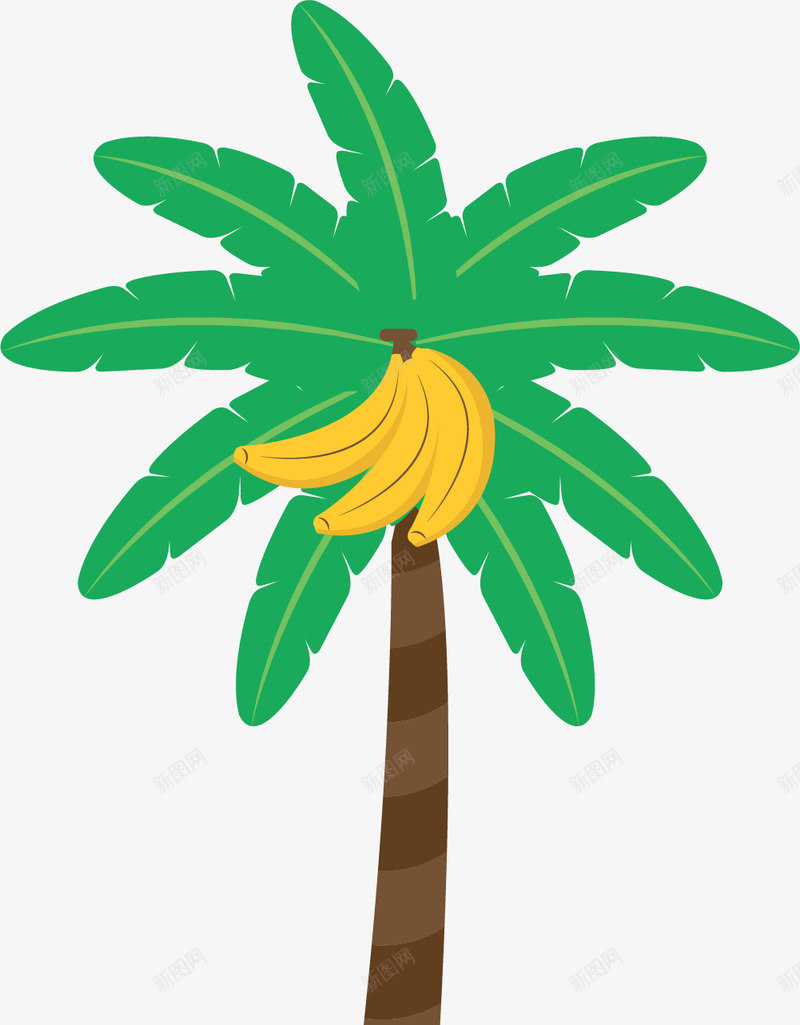 结果的卡通风格香蕉树png免抠素材_新图网 https://ixintu.com 卡通香蕉树 果树 热带香蕉树 矢量香蕉树 结果 香蕉树
