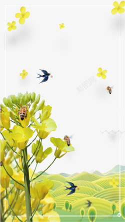蜜蜂图案清新油菜花装饰背景高清图片