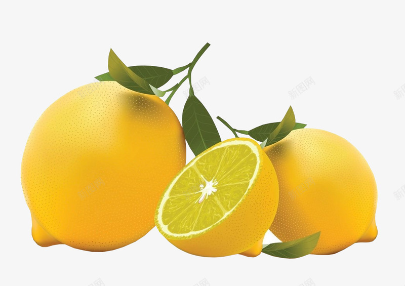 水果切开的柠檬png免抠素材_新图网 https://ixintu.com 新鲜 果实 柠檬 水果 装饰 食物 高清