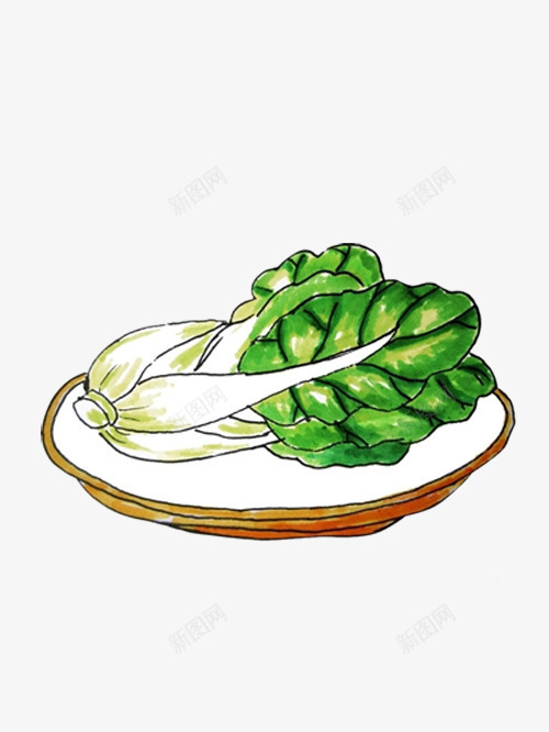手绘盘子上的白菜png免抠素材_新图网 https://ixintu.com 健康 大白菜 好看的白菜 绿色