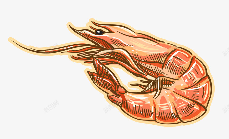 美味的海鲜矢量图ai免抠素材_新图网 https://ixintu.com 美味海鲜食物虾子 矢量图