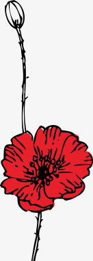 手绘植物罂粟花图标图标