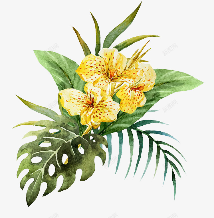 手绘的热带植物装饰png免抠素材_新图网 https://ixintu.com 免抠图 效果图 植物 绿叶 花朵 装饰图 装饰画