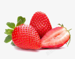 丹东绿江鲜红草莓高清图片