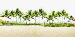 海边植物设计沙滩高清图片