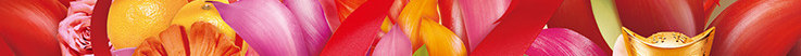 红色鞭炮花朵植物png免抠素材_新图网 https://ixintu.com 新年 植物 玫瑰花 红色鞭炮 花朵 花朵边框