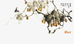 猕猴桃藤蔓图片猕猴桃树片高清图片