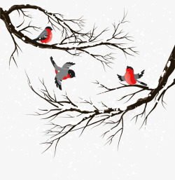 冬季小鸟树木入冬矢量图素材