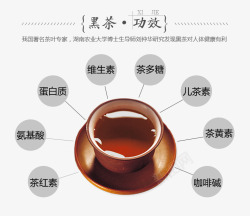 黑茶功效素材