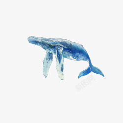 手绘一只蓝色水彩座头鲸宣传插画素材
