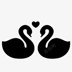 两只天鹅两只黑天鹅心形图标高清图片