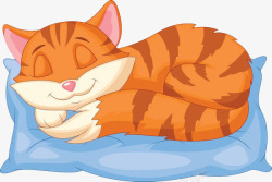 睡在一只睡在枕头上的猫咪高清图片