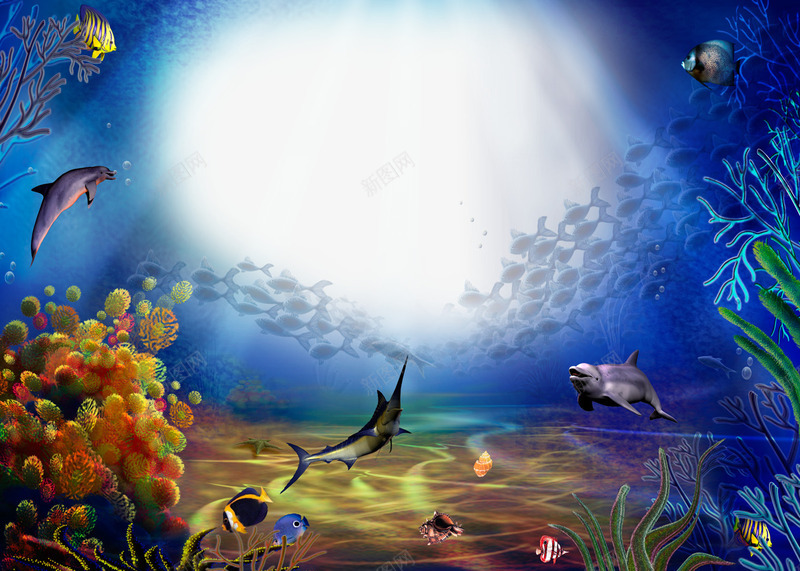 精美海底世界相框png免抠素材_新图网 https://ixintu.com 创意素材 海底生物图片 海藻 海豚 热带鱼 珊瑚 相框素材 相框边框背景素材 边框素材
