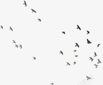 飞翔的小燕子彩绘素材