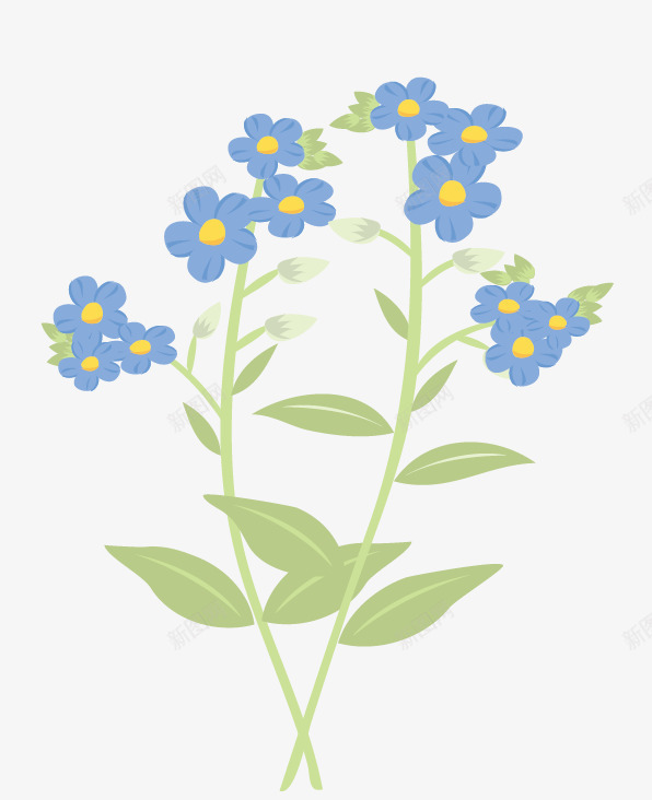 花卉花朵png免抠素材_新图网 https://ixintu.com 好看的花 植物 矢量花朵 篮花 绿叶 花卉 蓝色小花