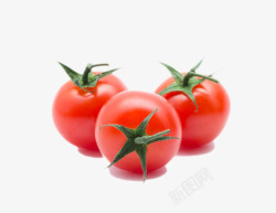 实物新鲜红色带藤樱桃番茄素材