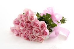 浅粉色玫瑰花束七夕情人节素材